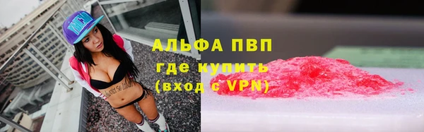 молекула духа Белоозёрский