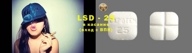 ГАЛЛЮЦИНОГЕННЫЕ ГРИБЫ Приозерск