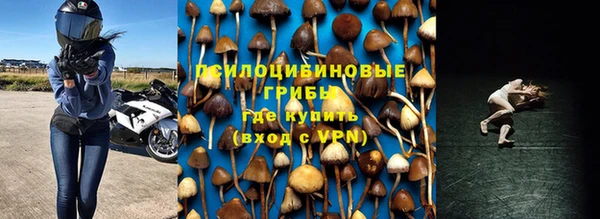 альфа пвп Белокуриха